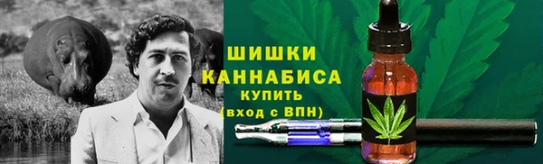 шишки Гусь-Хрустальный