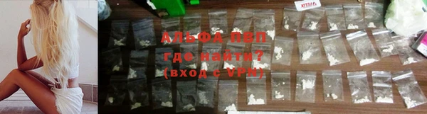 хмурый Гусев
