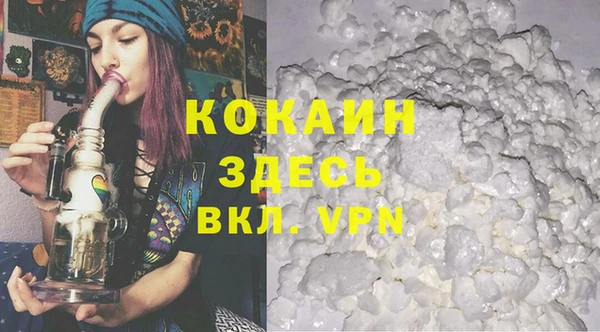 хмурый Гусев
