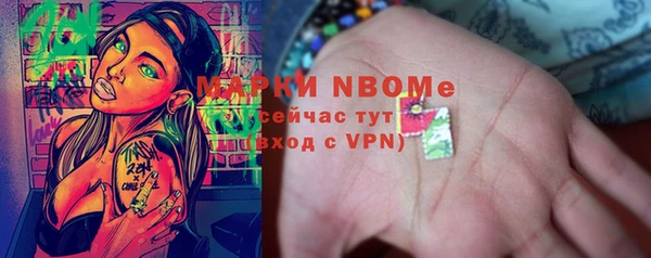 шишки Гусь-Хрустальный