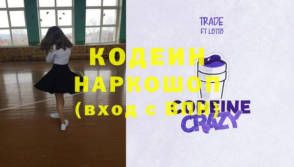 шишки Гусь-Хрустальный