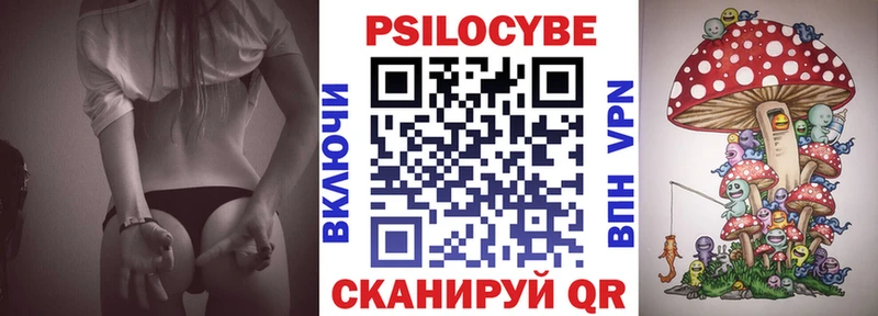 сколько стоит  Волжск  Галлюциногенные грибы Psilocybine cubensis 