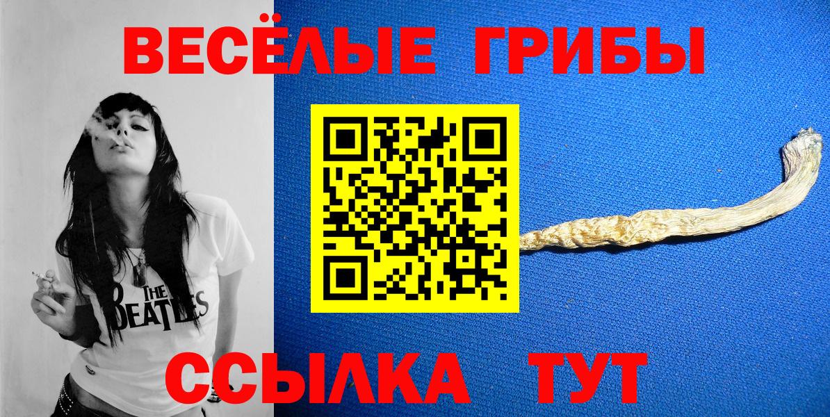 Волжск  Псилоцибиновые грибы мицелий  Вход с VPN 