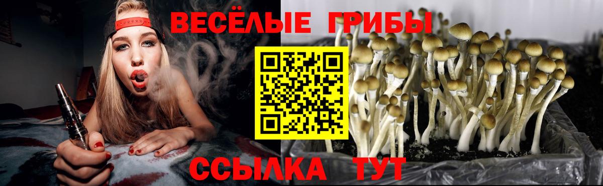 Псилоцибиновые грибы Magic Shrooms Волжск